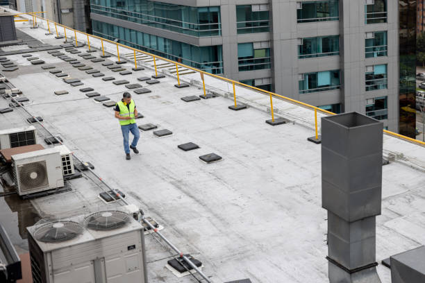 Best Skylight Installation and Repair  in Shenandoah Heights, PA