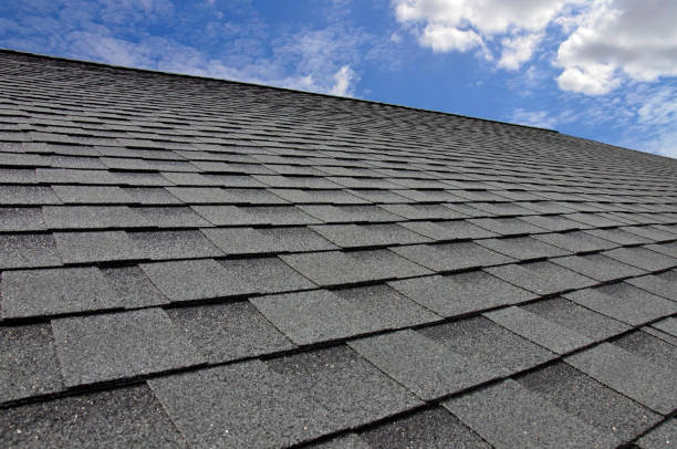 Best Sheet Metal Roofing  in Shenandoah Heights, PA
